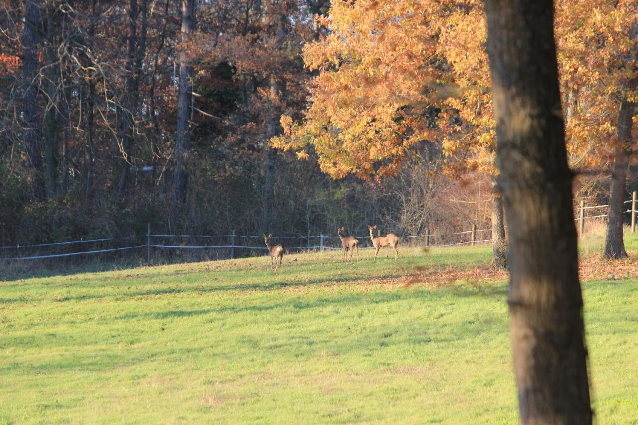 Le Manoir Du Cerf Gaillon-sur-Montcient